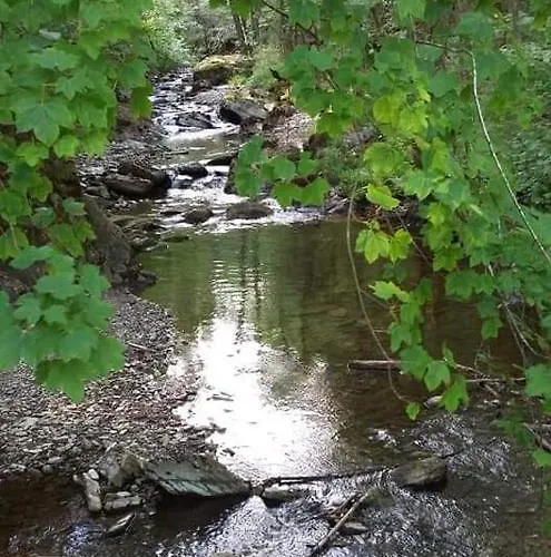 Les Terrasses De Duplex 428 *