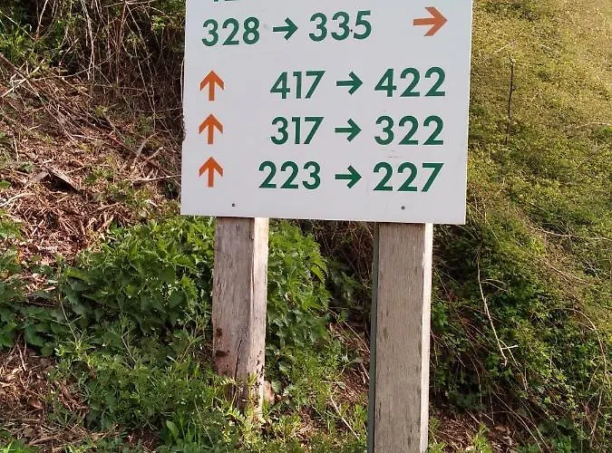 Les Terrasses De Duplex 428 Appartement *