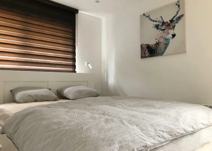 Appartement Les Terrasses De Duplex 428 *