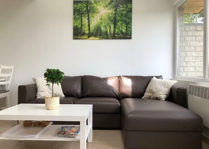 Appartement Les Terrasses De Duplex 428 *